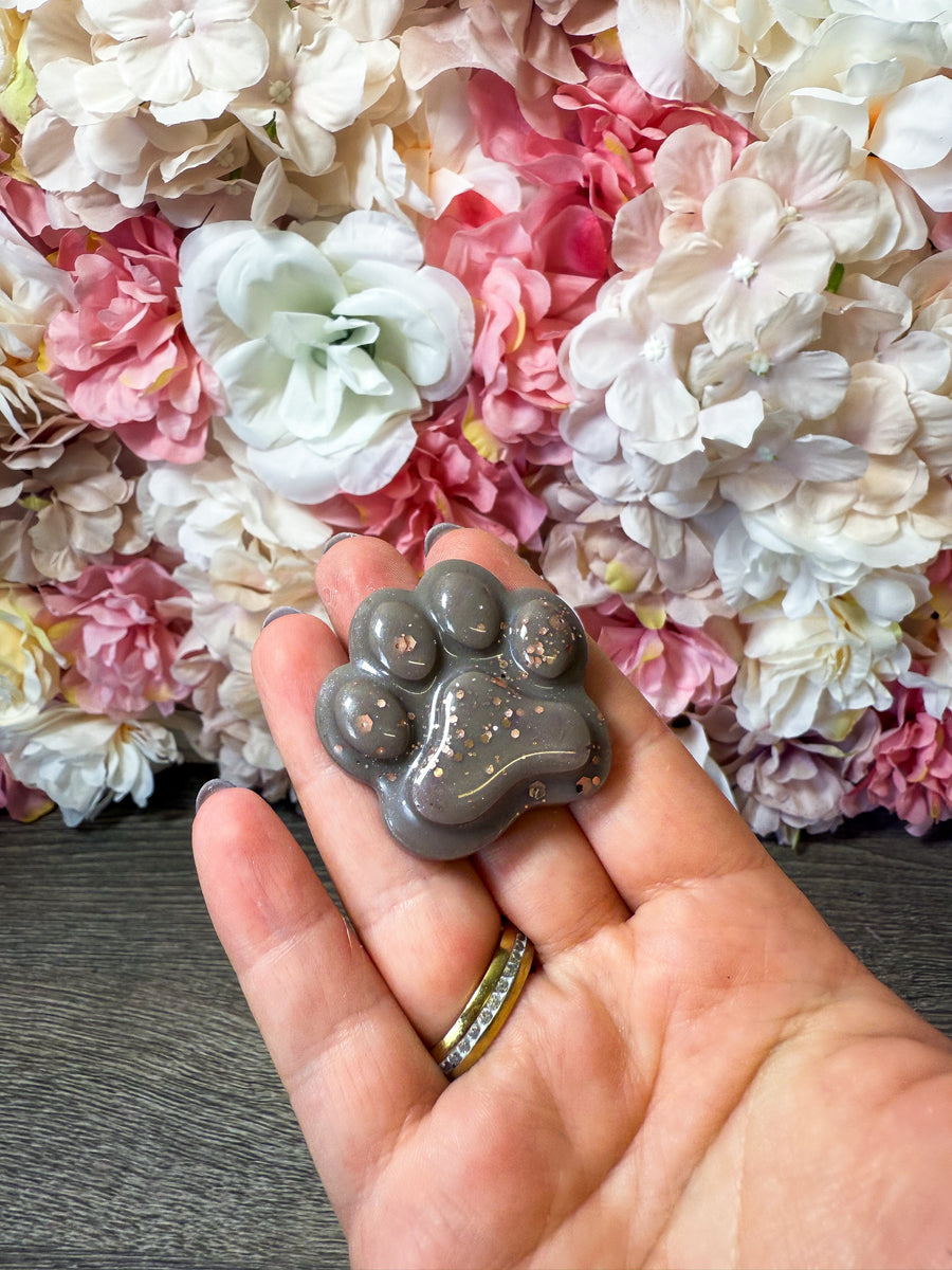 Magnet Pfote in verschiedenen Designs