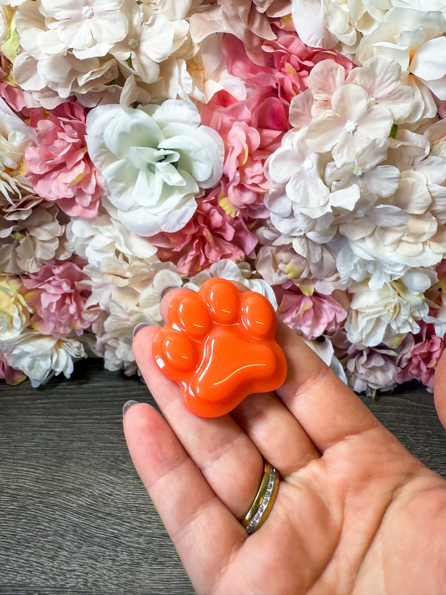 Magnet Pfote in verschiedenen Designs