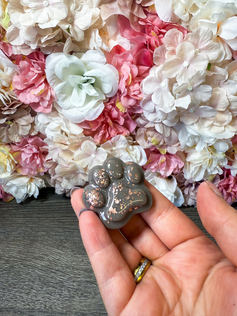 Magnet Pfote in verschiedenen Designs